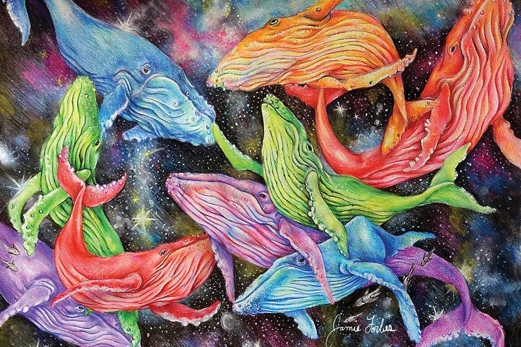 Space Whale by Jamie Forbes wall art