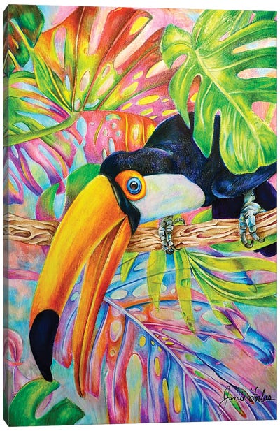 Toucan Canvas Art Print - Jamie Forbes