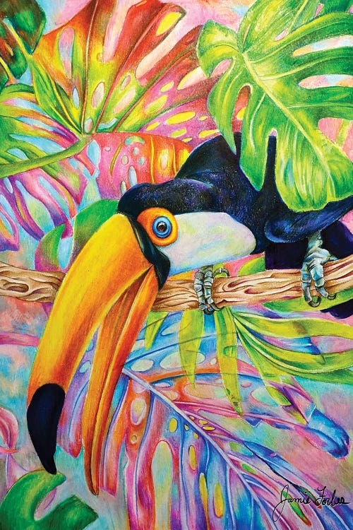 Toucan by Jamie Forbes wall art