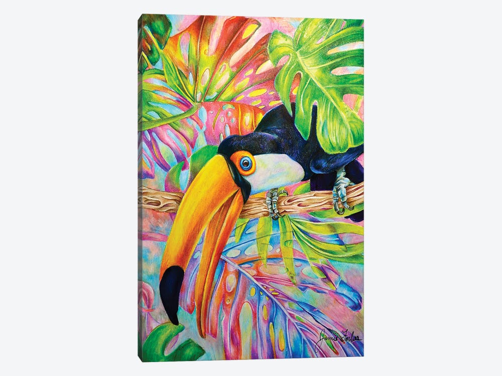 Toucan by Jamie Forbes 1-piece Art Print