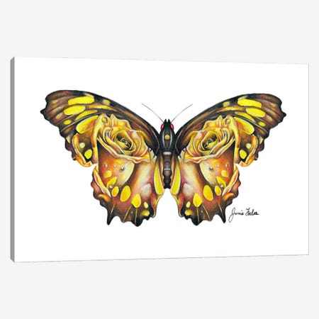 Butterfly Canvas Print #JFX1} by Jamie Forbes Canvas Artwork