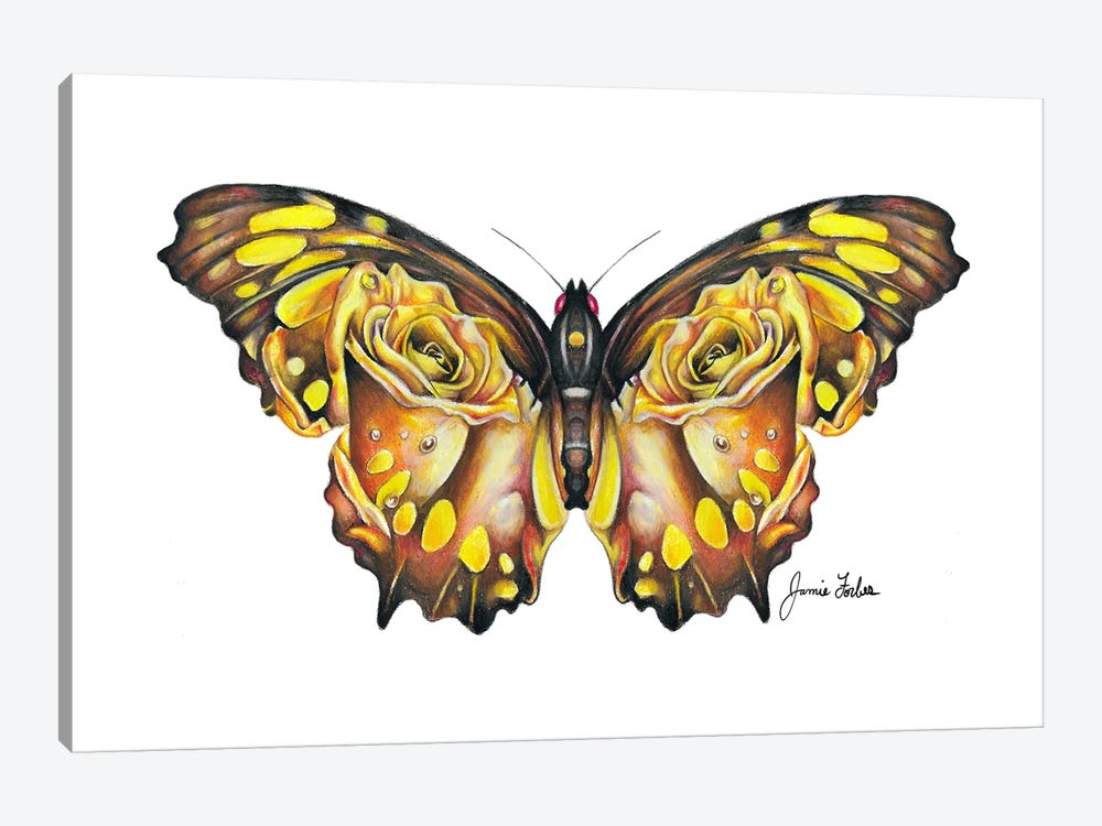 Butterfly by Jamie Forbes 1-piece Canvas Art Print