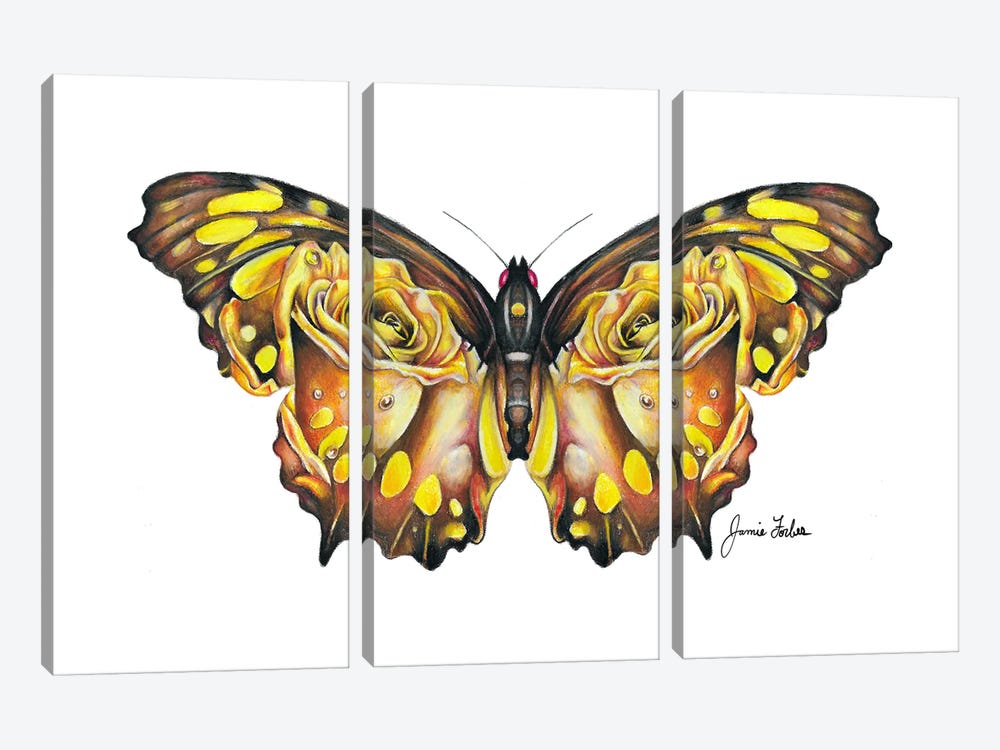Butterfly by Jamie Forbes 3-piece Art Print