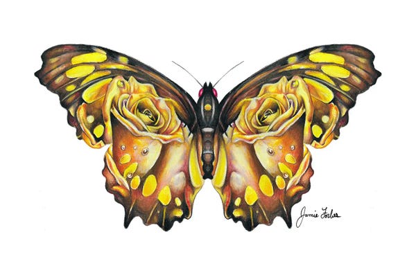 Jamie Forbes: Butterfly by Jamie Forbes