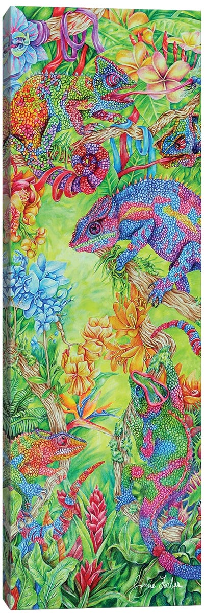 Candy Land Canvas Art Print - Lizard Art