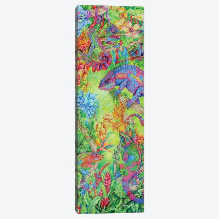 Candy Land Canvas Print #JFX2} by Jamie Forbes Canvas Wall Art