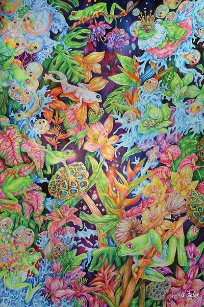 Psychedelic Animals: Cosmic Frogs by Jamie Forbes