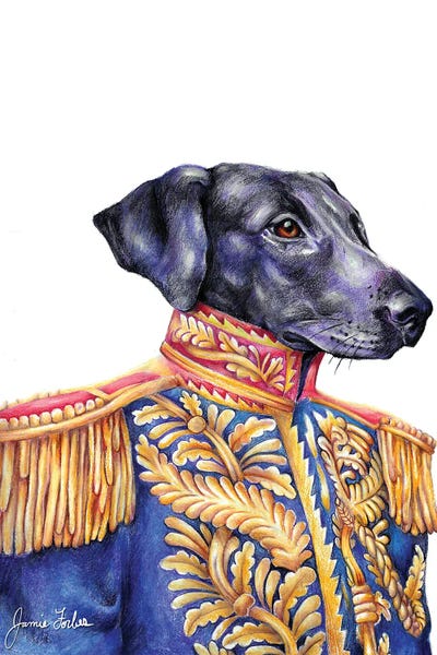 Logan by Jamie Forbes canvas print