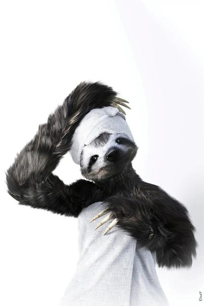 Sloths: Sloth In Tub by Jauffrey Philippe