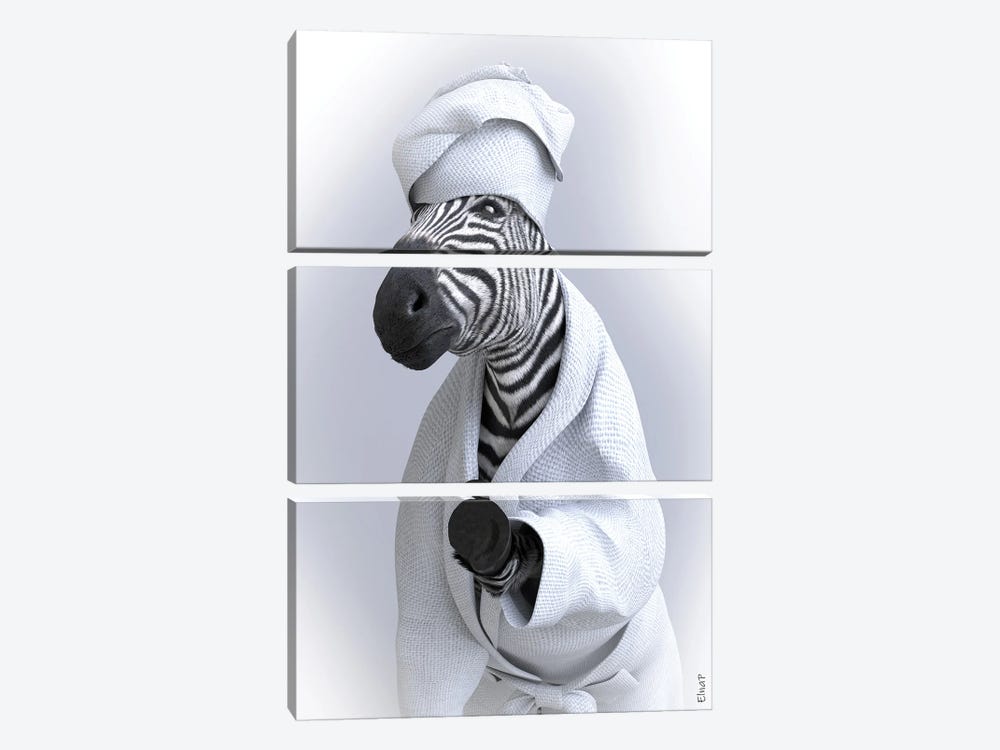 Zebra In Tub by Jauffrey Philippe 3-piece Canvas Wall Art