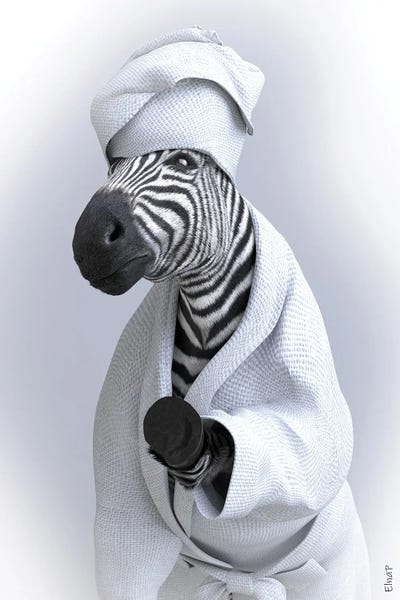 Zebras: Zebra In Tub by Jauffrey Philippe