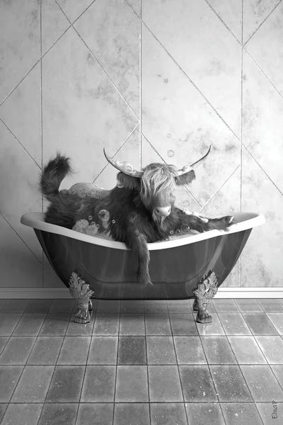 Animal Humor: Highland Cow Bathtub by Jauffrey Philippe