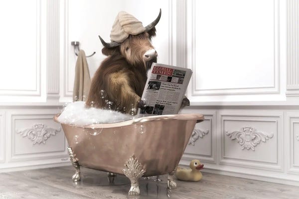 Reading: Highlands Cow Newspaper by Jauffrey Philippe