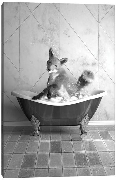 Fox In Tub Canvas Art Print - Jauffrey Philippe