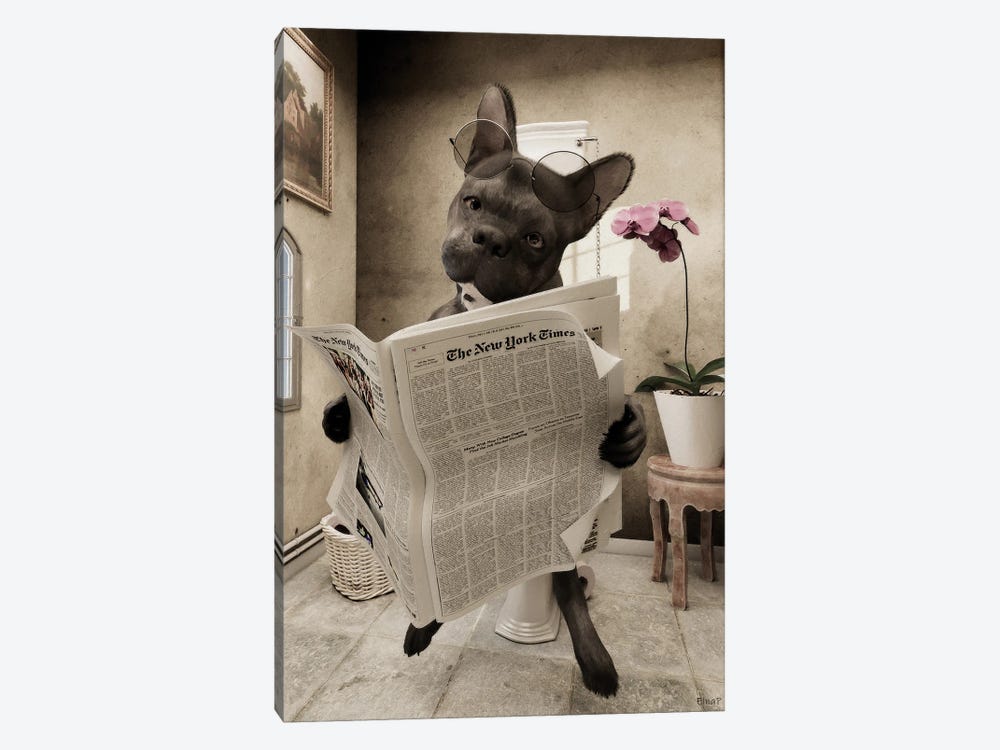 Bulldog Sitting On The Toilet, Funny Bathroom Print, Animal Art by Jauffrey Philippe 1-piece Canvas Art