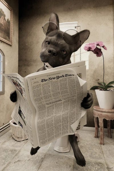 Animal Humor: Bulldog Sitting On The Toilet, Funny Bathroom Print, Animal Art by Jauffrey Philippe
