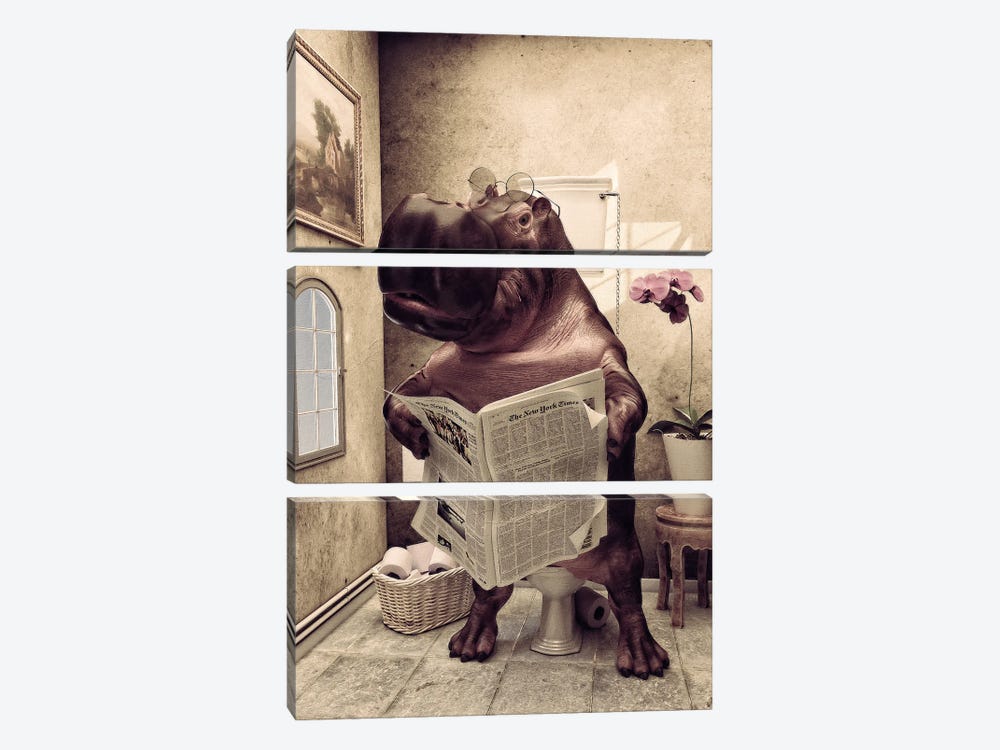 Hippo On The Toilet, Funny Bathroom Print, Safari Animal Art by Jauffrey Philippe 3-piece Canvas Print