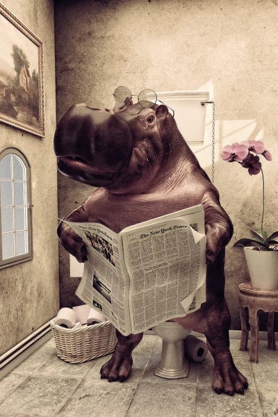 Bathroom Humor: Hippo On The Toilet, Funny Bathroom Print, Safari Animal Art by Jauffrey Philippe