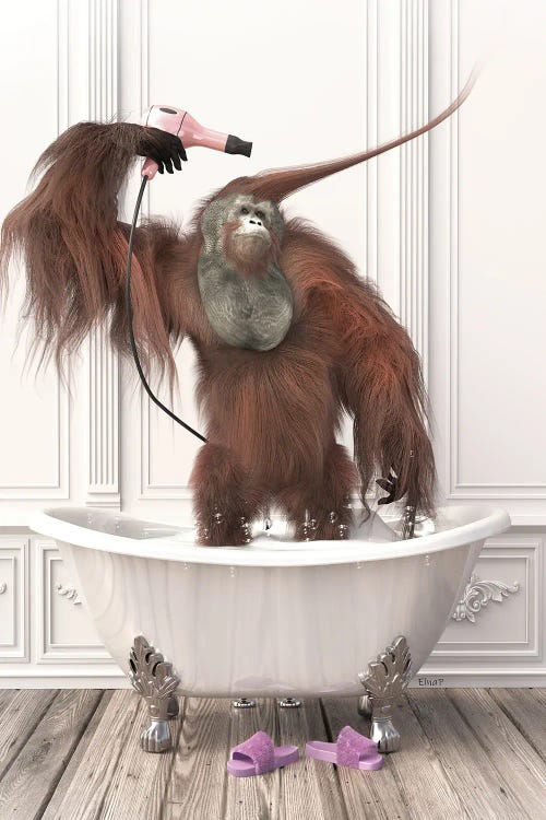 Orangutans In The Bath