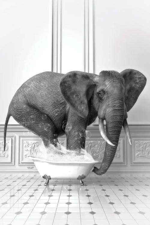 Elephant In The Bath Black And White by Jauffrey Philippe wall art