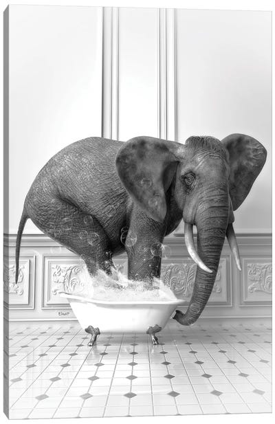 Elephant In The Bath Black And White Canvas Art Print - Jauffrey Philippe