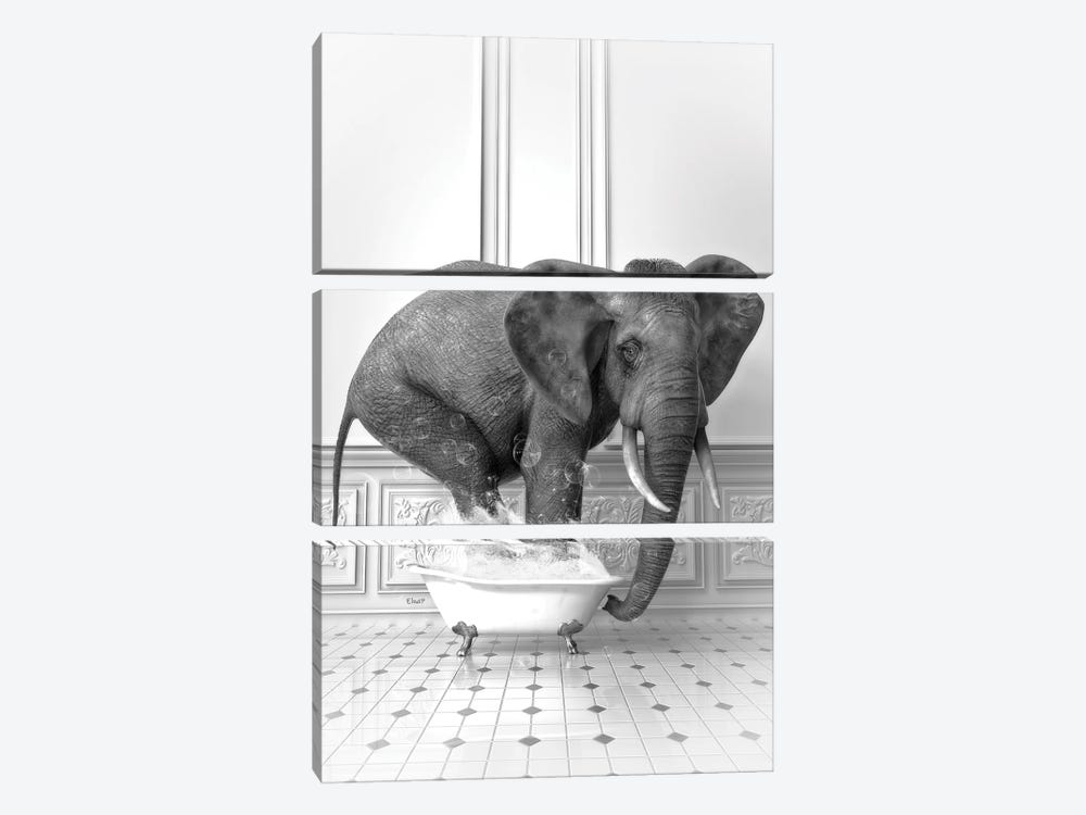 Elephant In The Bath Black And White by Jauffrey Philippe 3-piece Canvas Art
