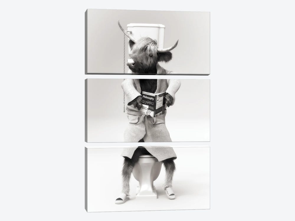 Highlands Cow In The Toilet by Jauffrey Philippe 3-piece Canvas Wall Art