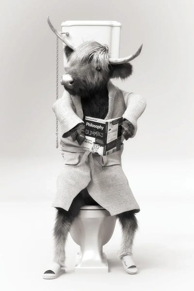 Large Black & White Art - Canvas Prints: Highlands Cow In The Toilet by Jauffrey Philippe