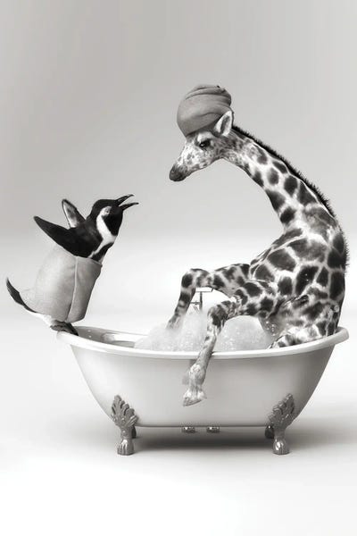 Giraffes: Penguin And Giraffe In The Bath by Jauffrey Philippe
