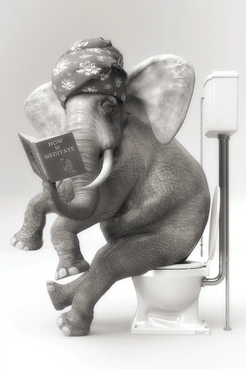 The Elephant In The Toilet With A Book