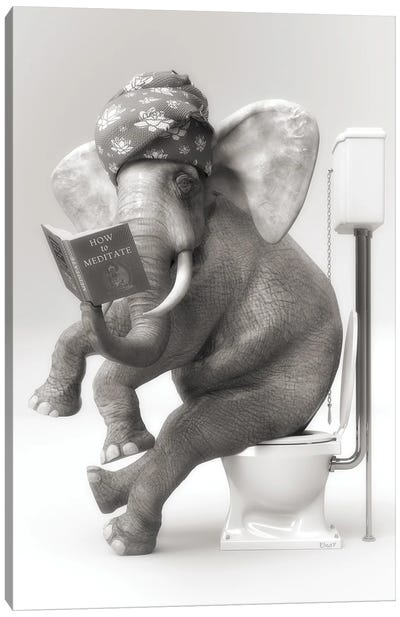 The Elephant In The Toilet With A Book Canvas Art Print - Reading Art