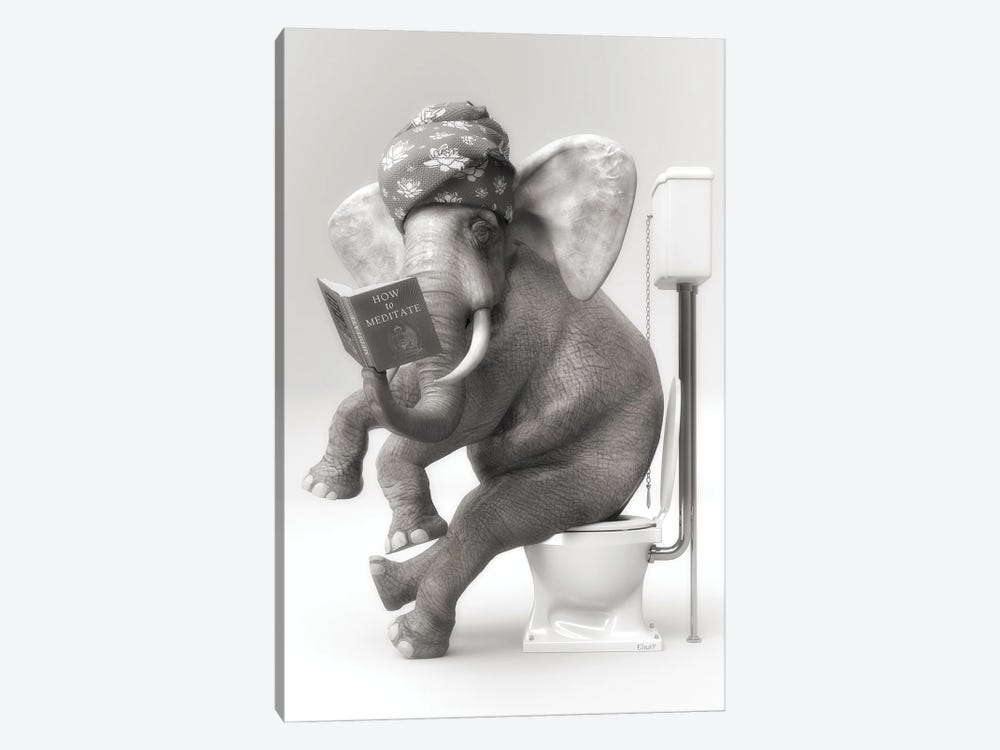 The Elephant In The Toilet With A Book by Jauffrey Philippe 1-piece Canvas Art