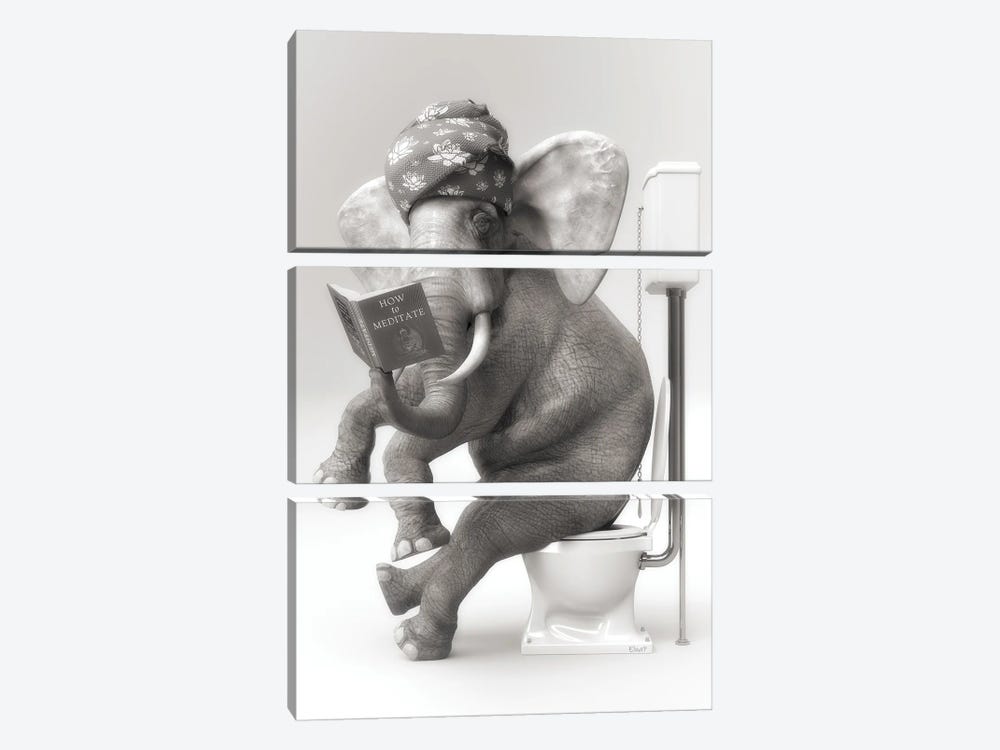 The Elephant In The Toilet With A Book by Jauffrey Philippe 3-piece Canvas Art