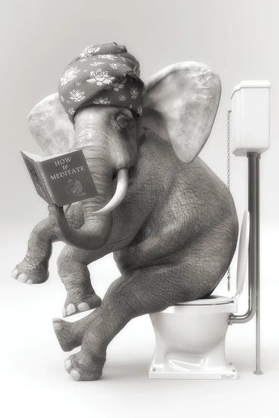 Reading: The Elephant In The Toilet With A Book by Jauffrey Philippe