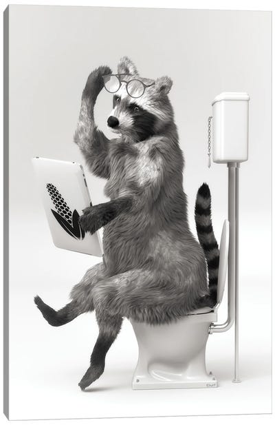 Raccoon In The Toilet Canvas Art Print - Black & White Animal Art