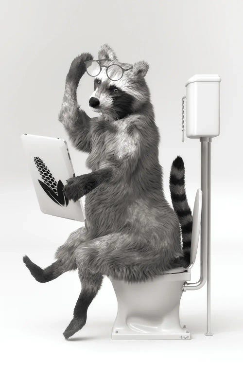 Raccoon In The Toilet by Jauffrey Philippe wall art