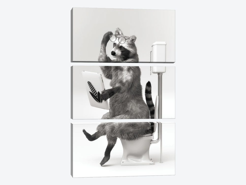 Raccoon In The Toilet by Jauffrey Philippe 3-piece Canvas Print