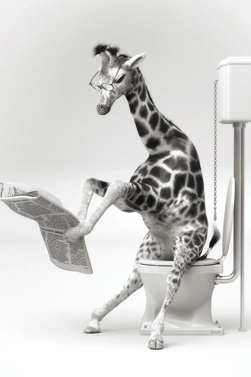 Giraffe In The Toilet