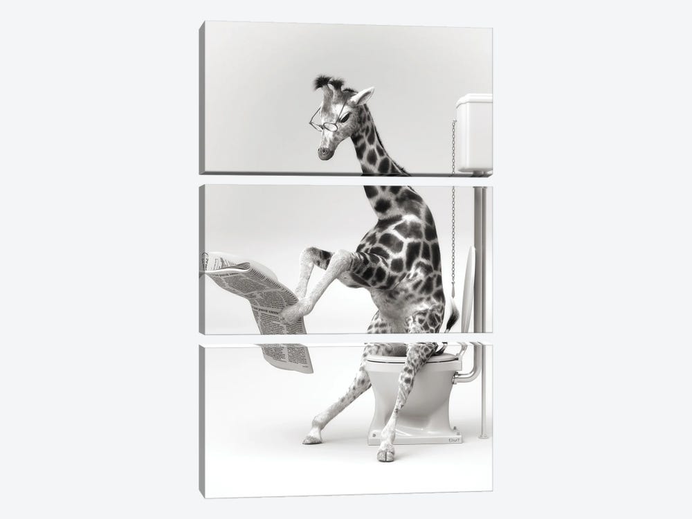 Giraffe In The Toilet by Jauffrey Philippe 3-piece Canvas Print