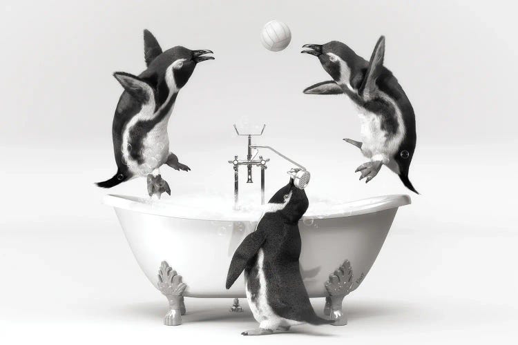 Penguin In The Bath That Plays