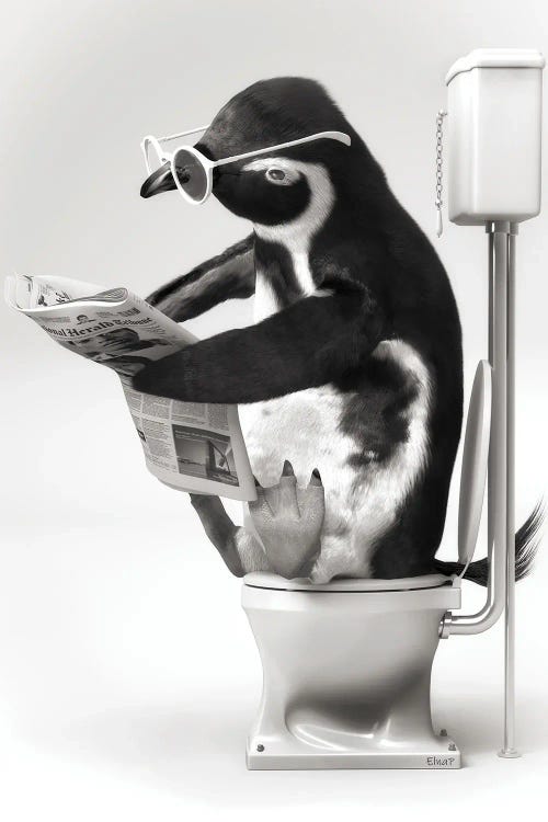 Penguin In The Toilet Black And White by Jauffrey Philippe wall art