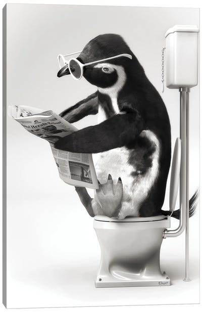 Penguin In The Toilet Black And White Canvas Art Print - Penguin Art
