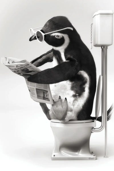 Penguins: Penguin In The Toilet Black And White by Jauffrey Philippe