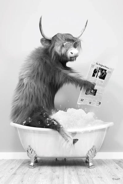 Reading: Highland In The Bath Journal by Jauffrey Philippe