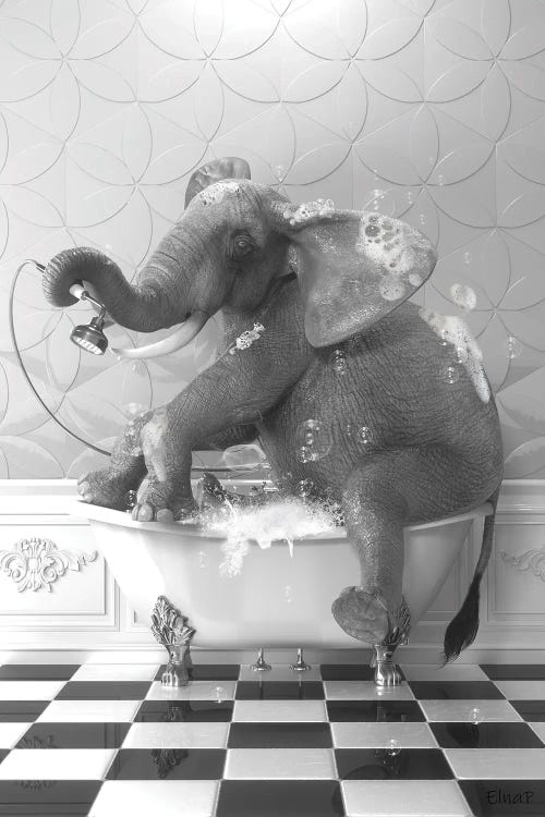 Elephant On The Bath