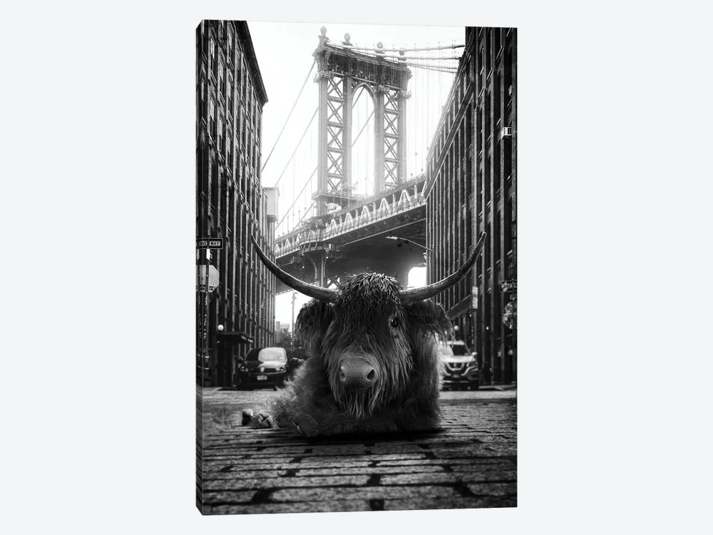 Highland Cow In The Street by Jauffrey Philippe 1-piece Art Print