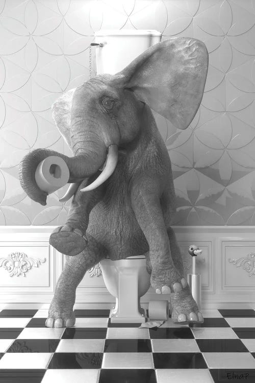 Elephant On The Toilet