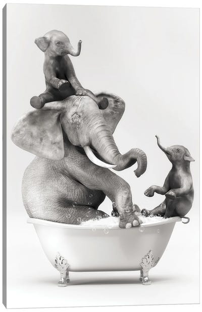 Elephant And Baby In The Bath Having Fun Canvas Art Print - Jauffrey Philippe