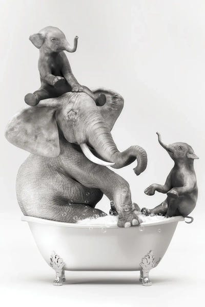 Giclee Features: Elephant And Baby In The Bath Having Fun by Jauffrey Philippe