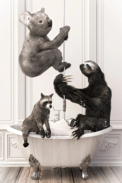 Sloth And Koala In The Bath